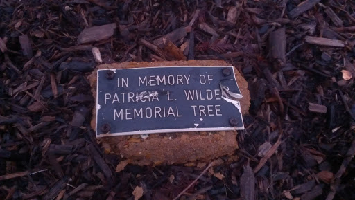 Patricia Wilder Memorial Tree