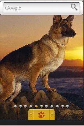 German Shepherd Theme