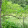 Green Reclamation