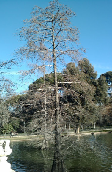 Spotting Image 1