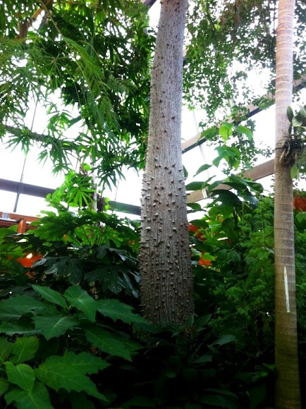 Spotting Image 1