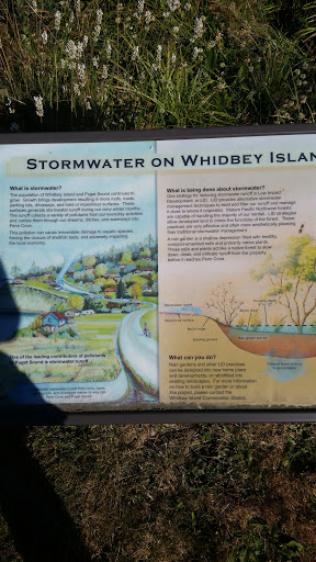 Storm Water On Whidbey Island