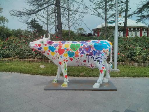 彩色奶牛