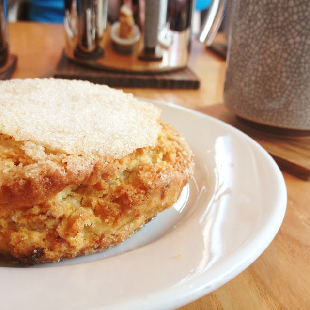 GF Apricot Scone