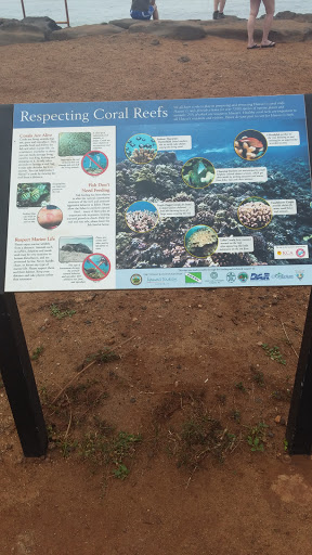 Kihei Coral Reef Protection