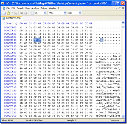Imitation Squirrel: How to recover corrupt JPEG images