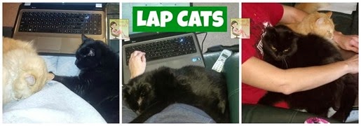 Lap Cats[4]