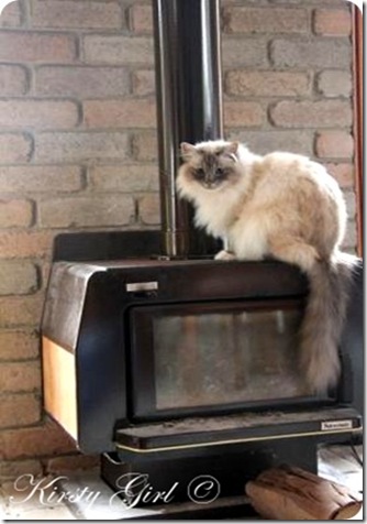 fireplace cat #2[8]