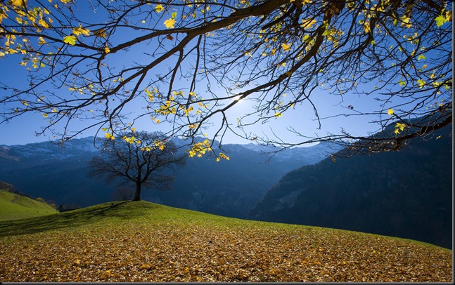 autumn5