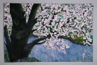 [Endo-CherryBlossoms7-full%255B3%255D.jpg]
