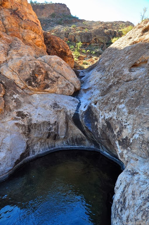 [DSC_0077%255B5%255D.jpg]