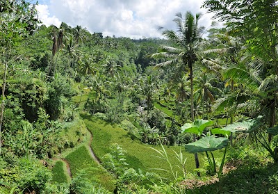 DSC_0053.jpg