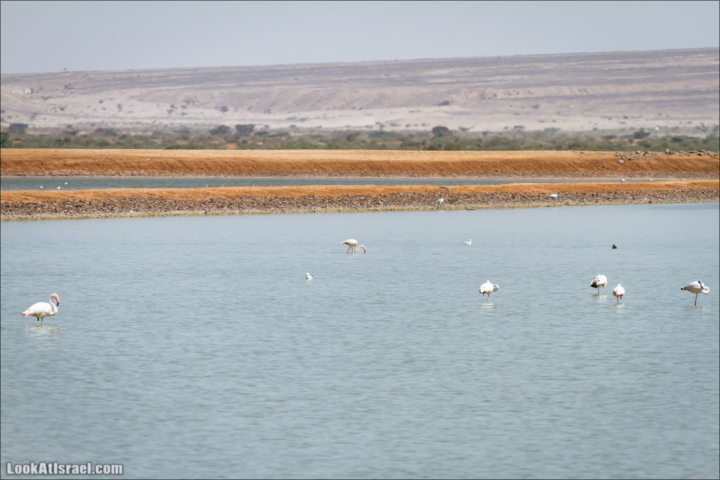 LookAtIsrael.com: Фото-блог о путешествиях по Израилю. Тель Авив, Иерусалим, Хайфа 