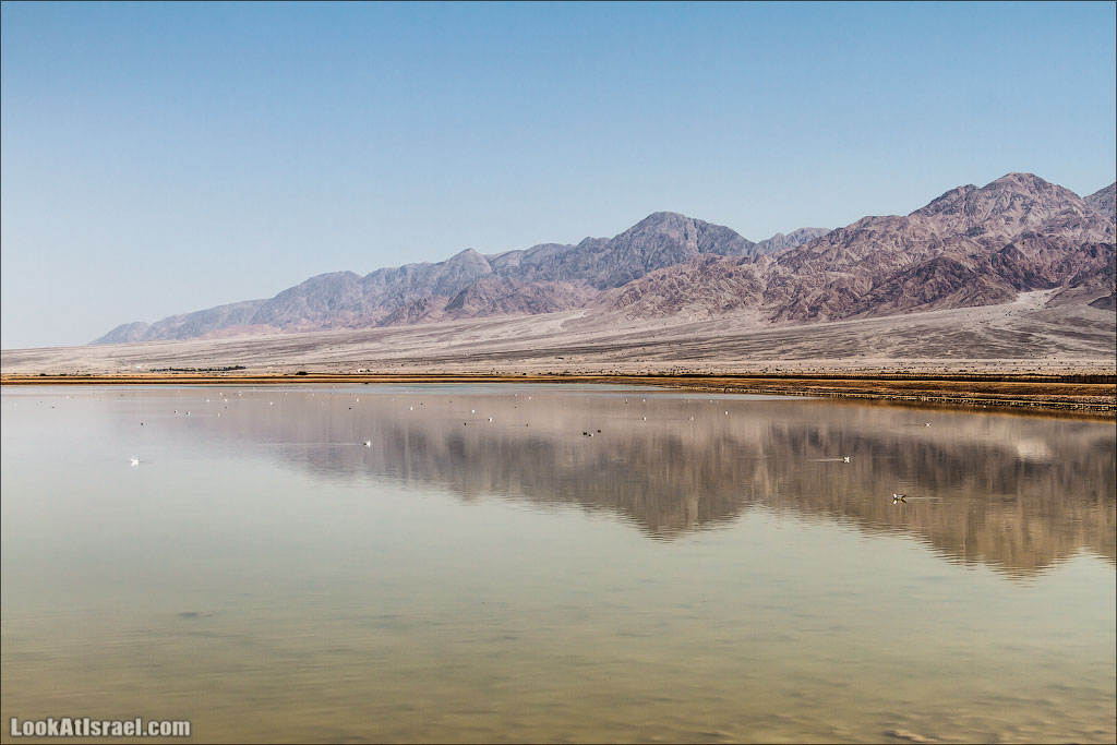 LookAtIsrael.com - Фото путешествия по Израилю | Отражения Эйлата
