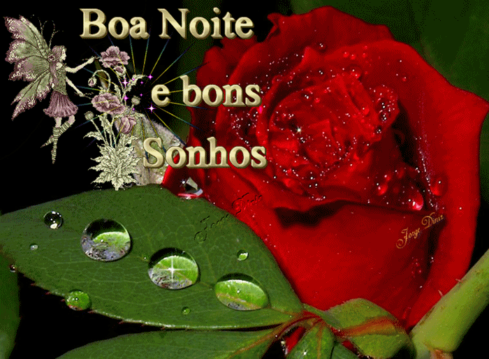 JorgeDiniz0205.gif
