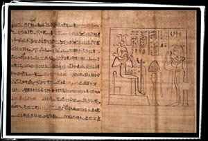 Papyrus paper