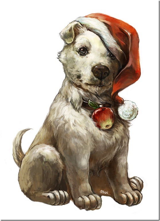 perro gorritos navidad (13)