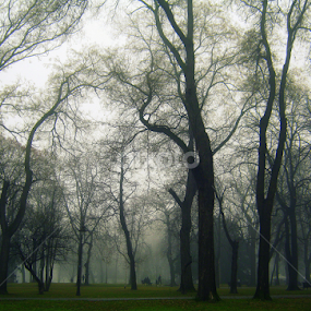 by Tatjana Koljensic - City,  Street & Park Amusement Parks