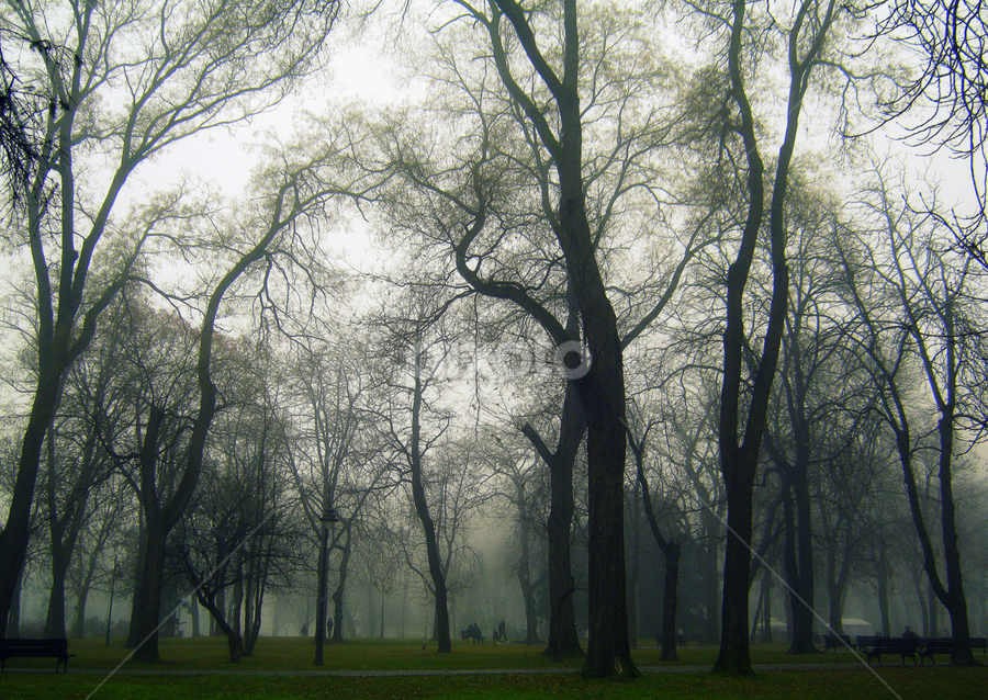 by Tatjana Koljensic - City,  Street & Park Amusement Parks