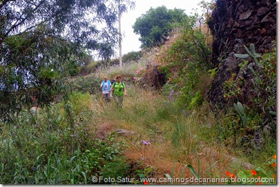 8000 Circular a Firga R3-Barranco Firgas 8000 Circular a Firga R3-Barranco Firgas
