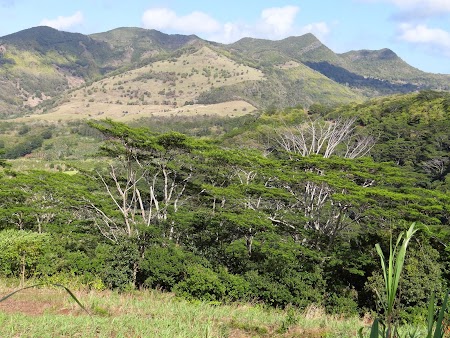  Peisaj din Mauritius