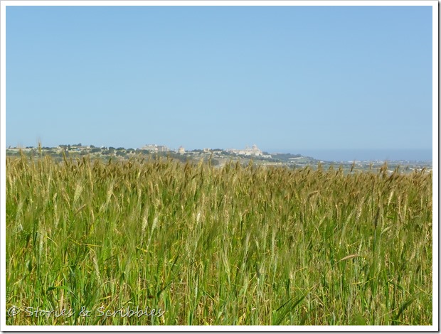 Salib tal-Gholja, Delimara, Marsaxlokk (45)