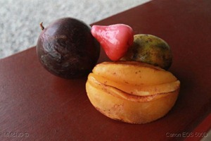 IMG_0884 IMG_0884