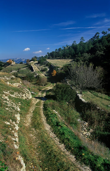 Camí del Portell de l'Infern (camí vell de la Sénia) a la sortida de Fredes, camí ramader, els Ports,  La Tinença de Benifassar, Castelló 2002.10