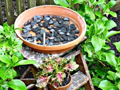bird watering bowl