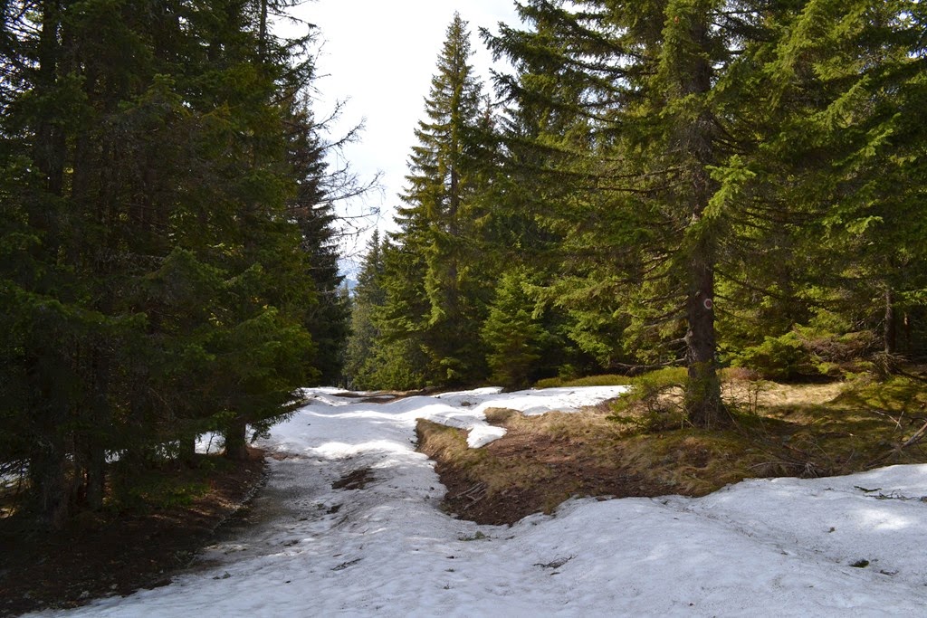 [DSC_65213.jpg]