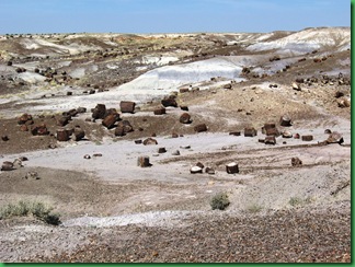 Painted Desert & Petrified Forest 287