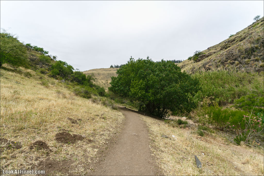 LookAtIsrael.com: Фото-блог о путешествиях по Израилю. Тель Авив, Иерусалим, Хайфа 