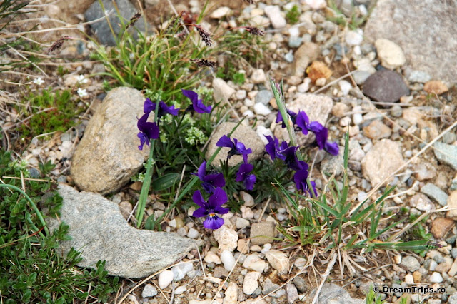 IMG_3476.JPG