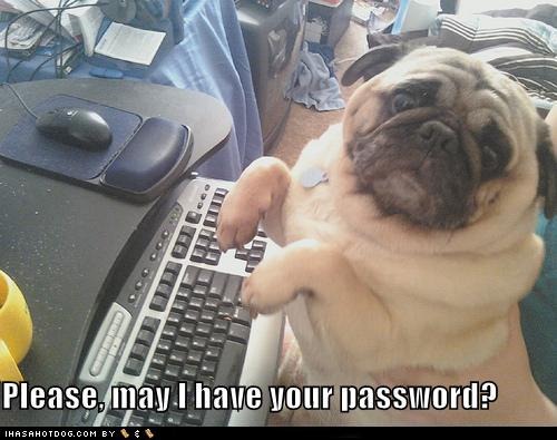 [funny-dog-pictures-please-may-i-have-your-password%255B3%255D.jpg]