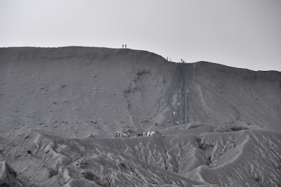 DSC_0605.jpg