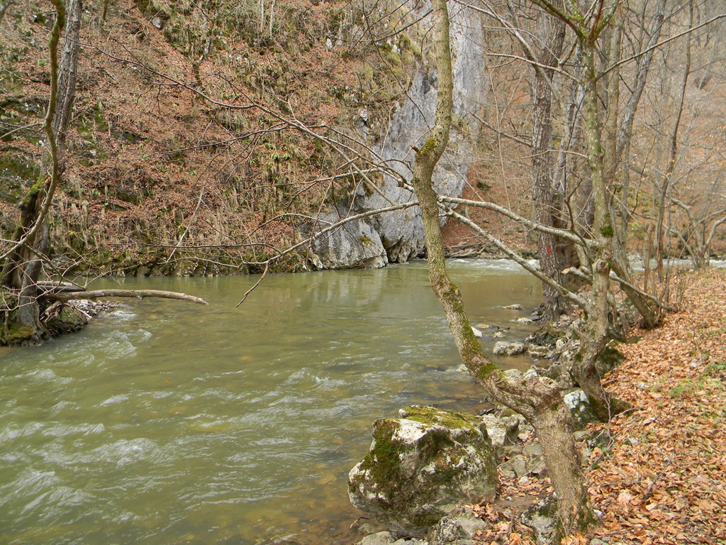 [DSCN83483.jpg]