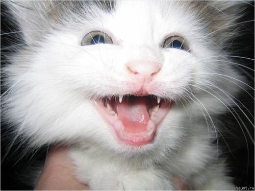 [url000%255B2%255D.jpg]