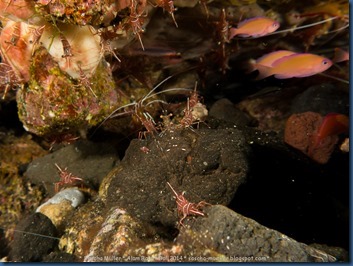 IMG_6194 IMG_6194