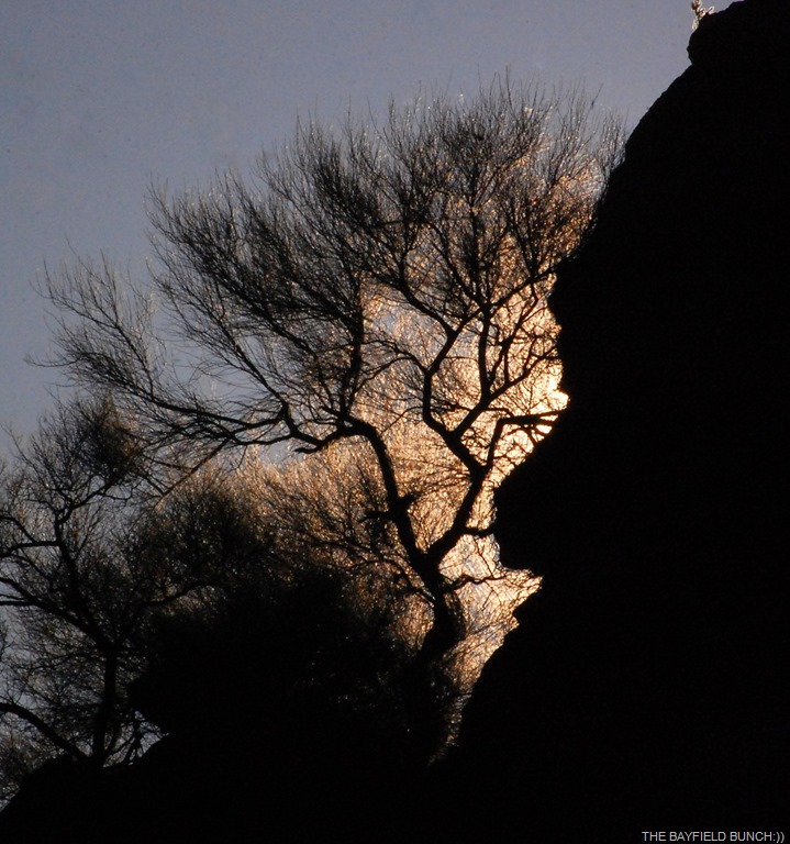 [DSC_9067%255B10%255D.jpg]