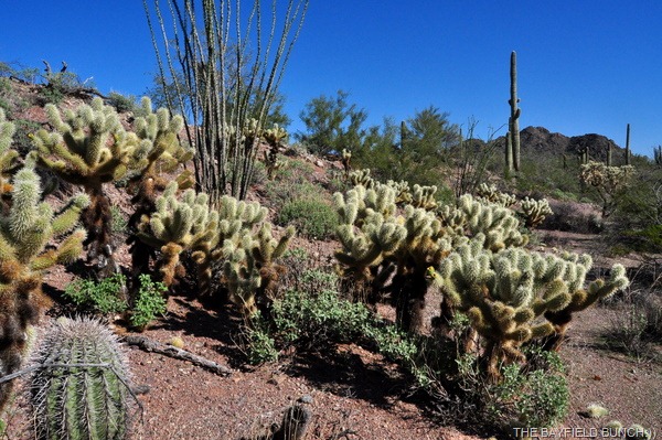 [DSC_0069%255B5%255D.jpg]