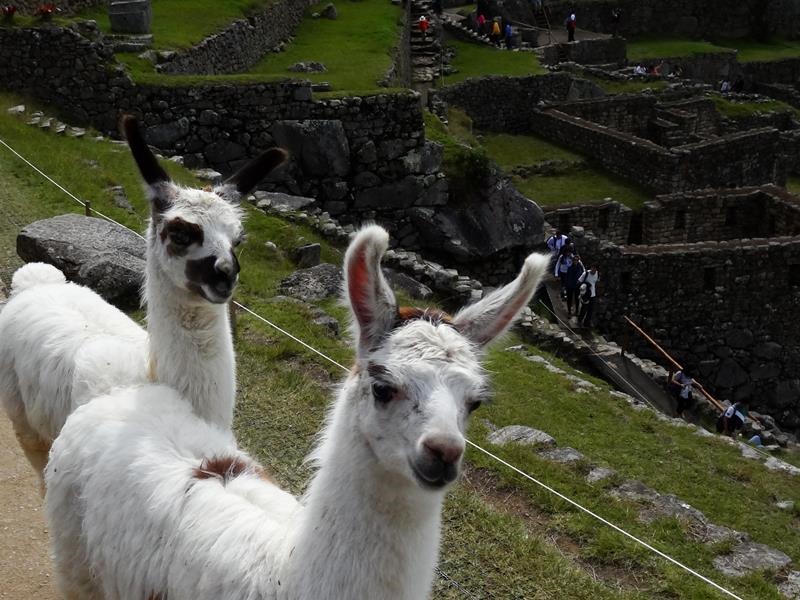 [Machu_Picchu_DSC021872.jpg]