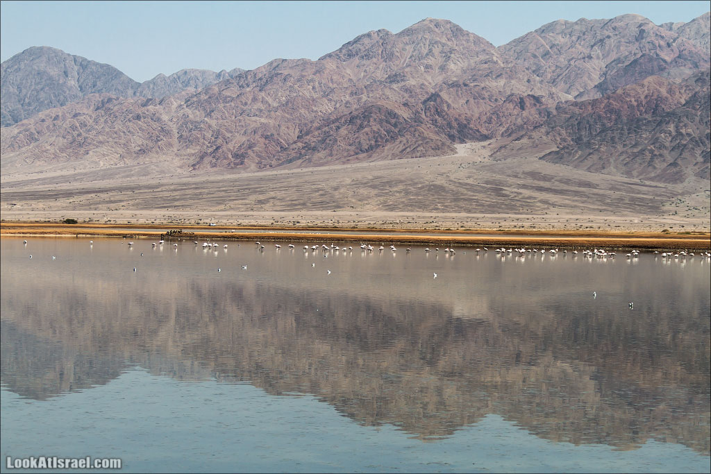 LookAtIsrael.com - Фото путешествия по Израилю | Отражения Эйлата
