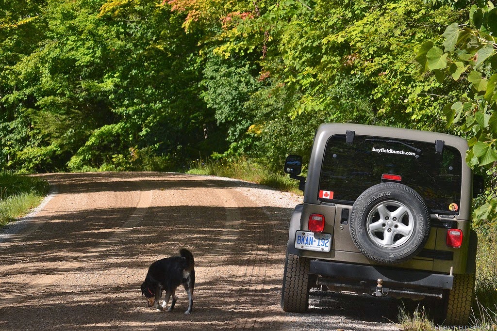 [DSC_0015-001%255B6%255D.jpg]