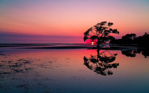 Beautiful Sunset Lake Landscape