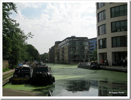 Duck weed covers the Regents Canal by Battlebridge Basin.