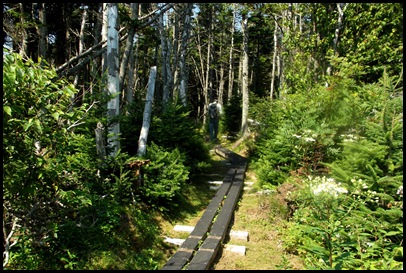 Liberty Point hike Campobello 195