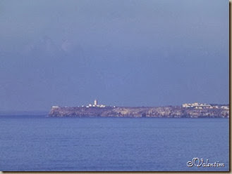 P1060369 P1060369