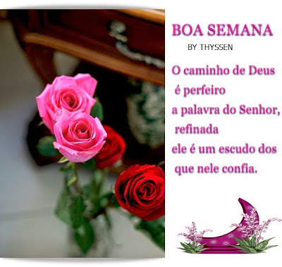 essencia+%2814%29DD.jpg