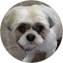 Martha R profile picture