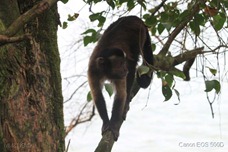 IMG_0526 IMG_0526